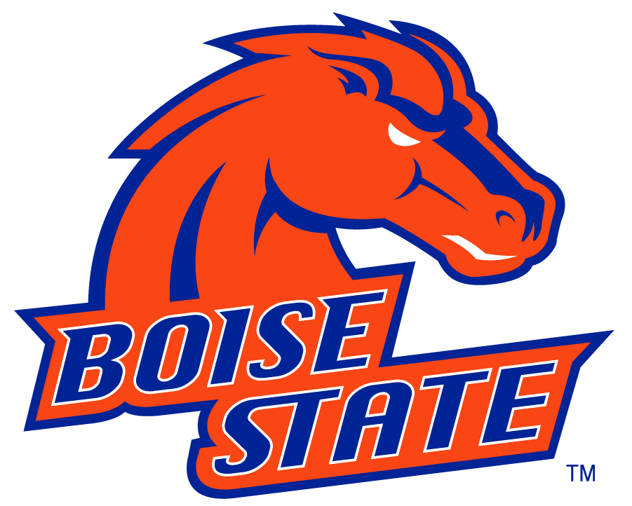 Boise State Broncos 2002-2012 Alternate Logo v4 iron on transfers for T-shirts